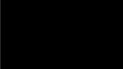 seanuh.gif
